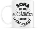printfashion Soha ne kérj bocsánatot - Bögre - Fehér (788896)