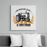 printfashion Egy dolog hoz lázba - Vászonkép - Fehér (6633636)