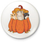 printfashion Macskák tökben - Kitűző, hűtőmágnes - Fehér (14314830)