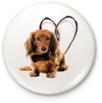 printfashion hosszú szőrű tacsi - Kitűző, hűtőmágnes - Fehér (14919639)