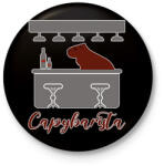 printfashion Capybarista - Kitűző, hűtőmágnes - Fekete (12747932)
