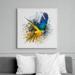 printfashion colorfullparot - Vászonkép - Fehér (6628301)