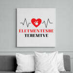 printfashion Életmentésre teremtve - Állatorvos - Vászonkép - Fehér (7225742)