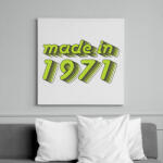 printfashion made-in-1971-green-grey - Vászonkép - Fehér (6622655)