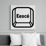 printfashion ESCCÉ - Vászonkép - Fehér (6639465)