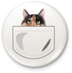 printfashion Zsebes macska - Kitűző, hűtőmágnes - Fehér (7104713)