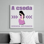 printfashion A csoda bennem növekszik - Vászonkép - Fehér (15729679)