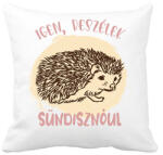 printfashion Igen, beszélek sündisznóul - Párnahuzat, Díszpárnahuzat - Fehér (7094769)