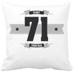 printfashion b-day-71-dark-lightgrey - Párnahuzat, Díszpárnahuzat - Fehér (515459)