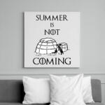 printfashion summer is not coming - Vászonkép - Fehér (6628231)