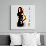 printfashion ALIAS - Vászonkép - Fehér (6637775)