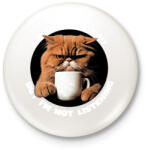 printfashion Antiszociális macska - Kitűző, hűtőmágnes - Fehér (14268296)