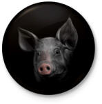 printfashion Malac portré - Kitűző, hűtőmágnes - Fekete (4881715)