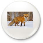 printfashion Vörös róka - Kitűző, hűtőmágnes - Fehér (5082273)