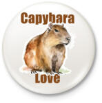 printfashion Capybara Love - Kitűző, hűtőmágnes - Fehér (16254076)