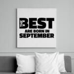 printfashion The Best are born in september - Vászonkép - Fehér (6638218)