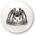 printfashion Pók / Tarantula / Madárpók - Kitűző, hűtőmágnes - Fehér (16687787)