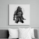 printfashion Szamuráj galaxis - Vászonkép - Fehér (6620273)