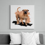 printfashion Bullmastiff - Vászonkép - Fehér (6626860)