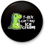 printfashion T-REX fagyi - Kitűző, hűtőmágnes - Fekete (3094322)