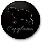 printfashion Capybara - Kitűző, hűtőmágnes - Fekete (13599026)