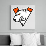 printfashion Virtus Pro logo - Vászonkép - Fehér (6627793)