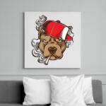printfashion Pitbull - Vászonkép - Fehér (6630844)