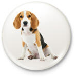 printfashion Beagle kutyás póló minta - Kitűző, hűtőmágnes - Fehér (3078084)