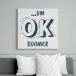 printfashion um OK boomer - Vászonkép - Fehér (7276615)