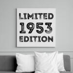 printfashion 1953 - Vászonkép - Fehér (6637038)