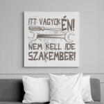 printfashion Itt vagyok én nem kell ide szakember - Vászonkép - Fehér (16671654)