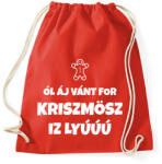 printfashion All I Want For Christmas - Sportzsák, Tornazsák - Piros (9952659)