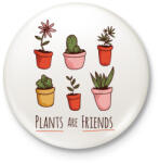 printfashion Növények - Kitűző, hűtőmágnes - Fehér (4061120)