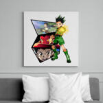 printfashion Gon Freecss - Vászonkép - Fehér (7210038)