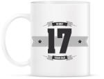 printfashion b-day-17-dark-lightgrey - Bögre - Fehér (790518)