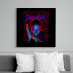 printfashion SNOWFALL - Vászonkép - Fekete (16574805)