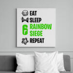 printfashion Rainbow Six Siege - Vászonkép - Fehér (6627751)