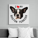 printfashion I love my Boston Terrier - Vászonkép - Fehér (7099526)
