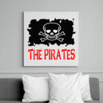 printfashion pirates - Vászonkép - Fehér (6624935)