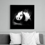 printfashion Tejpanda - Vászonkép - Fekete (6641674)