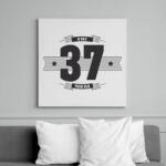 printfashion b-day-37-dark-lightgrey - Vászonkép - Fehér (6622818)