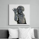 printfashion Salt Bae Einstein - Vászonkép - Fehér (6621852)
