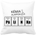 printfashion Pálinka kémia alapfok - Párnahuzat, Díszpárnahuzat - Fehér (13712448)
