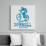 printfashion downhill - Vászonkép - Fehér (6634269)