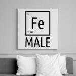 printfashion Periodic Ironman Női Fekete - Vászonkép - Fehér (6634831)