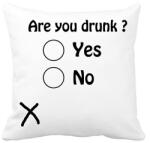 printfashion Are you drunk ? - Párnahuzat, Díszpárnahuzat - Fehér (5010065)
