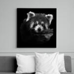 printfashion Vörös panda (fekete-fehér újság) - Vászonkép - Fekete (14447806)
