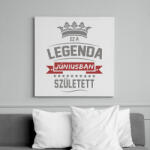 printfashion Ez a legenda júniusban született - Vászonkép - Fehér (6631282)