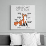 printfashion Anatomy of a fox - Vászonkép - Fehér (6636287)