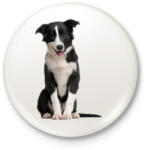 printfashion Border collie póló - Kitűző, hűtőmágnes - Fehér (3077974)